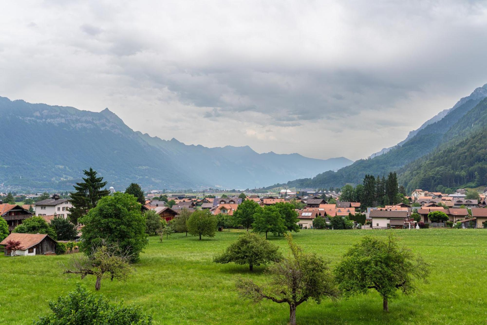 Jungfrau-View Apartment, Terrace & Free Parking Вільдерсвіль Екстер'єр фото