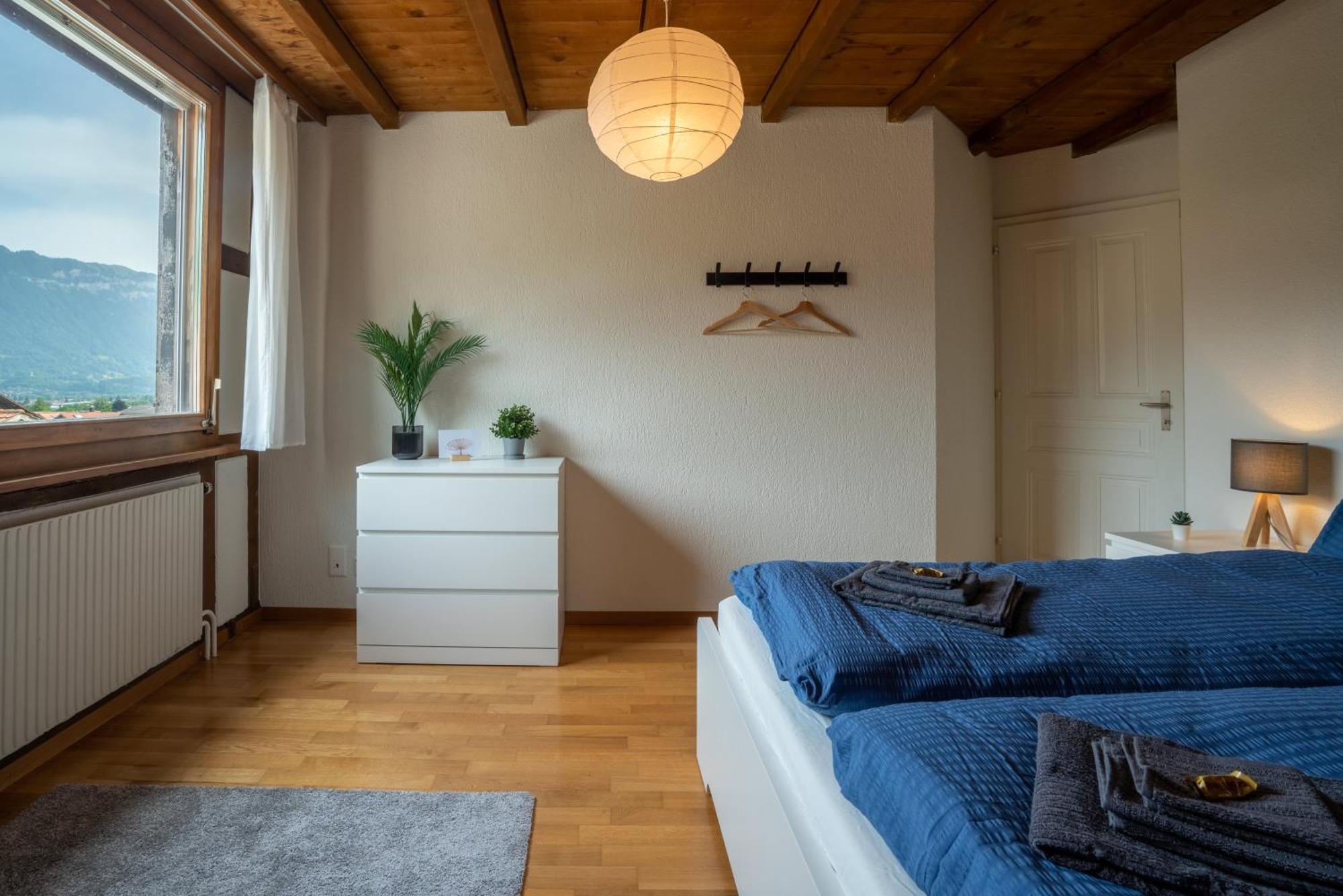 Jungfrau-View Apartment, Terrace & Free Parking Вільдерсвіль Екстер'єр фото